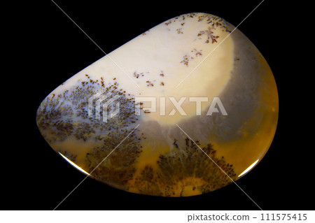 Dendritic Agate A stone that harbors landscapes Dendritic Agate A stone that harbors landscapes 111575415