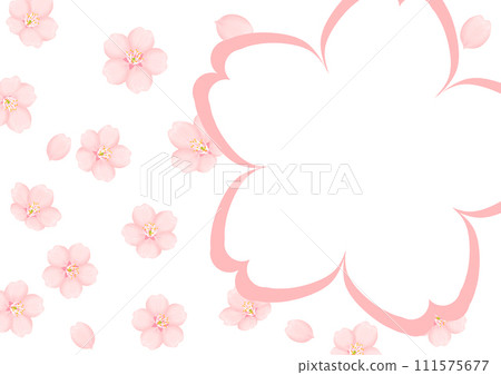 Cherry Blossom	 111575677