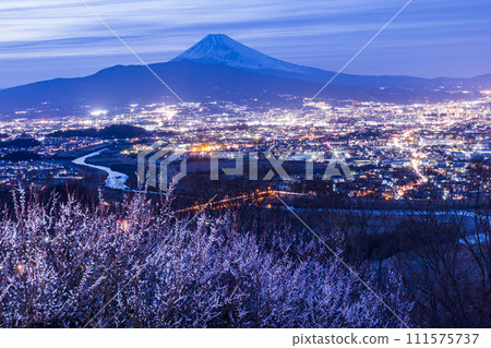 （靜岡縣）從日守山眺望三島市和富士山的夜景，白梅盛開 111575737
