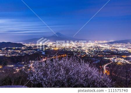（靜岡縣）從日守山眺望三島市和富士山的夜景，白梅盛開 111575740