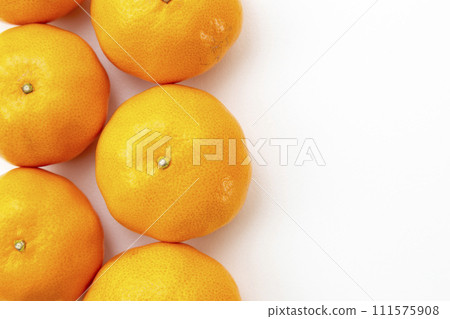 mandarin orange on white background mandarin orange on white background 111575908