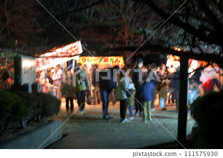 Street stalls at festivals - Scenery of crowded night stalls 111575930
