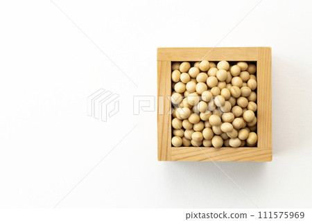 Soybean in a bowl Soybean in a bowl 111575969
