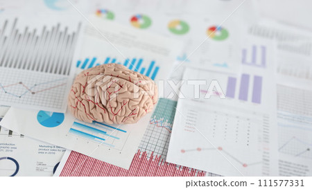 Artificial model of human brain lying on documents with graphs closeup 111577331