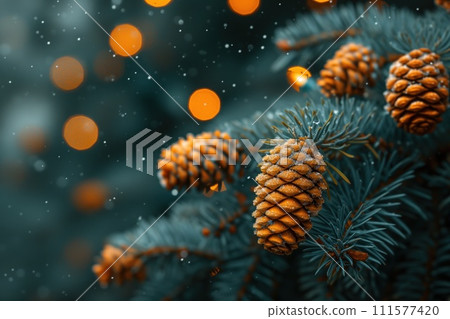 fir branches close up fir branches close up 111577420