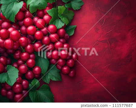 bunches of grapes close up 111577687