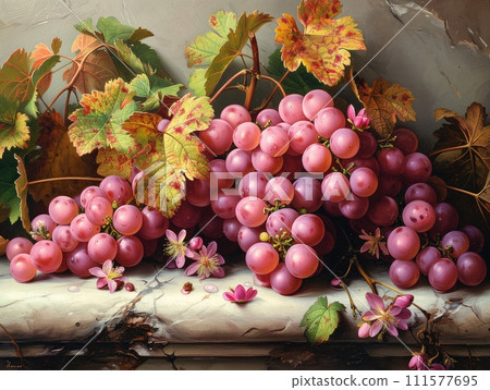 bunches of pink grapes close up 111577695