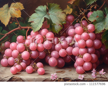 bunches of pink grapes close up 111577696