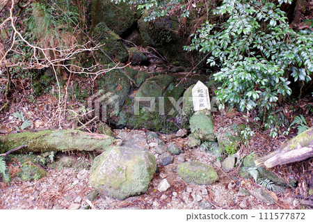 屋久島Kimoto生活用水 111577872