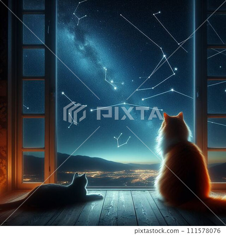 Two cats looking at the constellations in the night sky Two cats looking at the constellations in the night sky 111578076