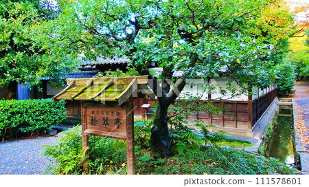 京都御苑秋水亭景觀 京都御苑秋水亭景觀 111578601