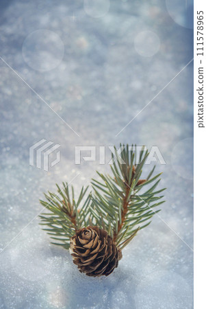 Christmas or winter background with frosted evergreen branches and pine cones on the snow. winter Christmas or winter background with frosted evergreen branches and pine cones on the snow. winter 111578965