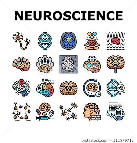 neuroscience brain neurology icons set vector 111579712