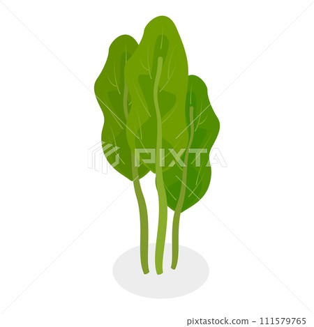 3D Isometric Flat Vector Set of Salad Greens. Item 3 111579765
