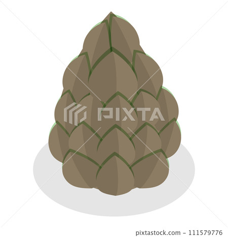 3D Isometric Flat Vector Set of Acorns And Cones. Item 6 111579776