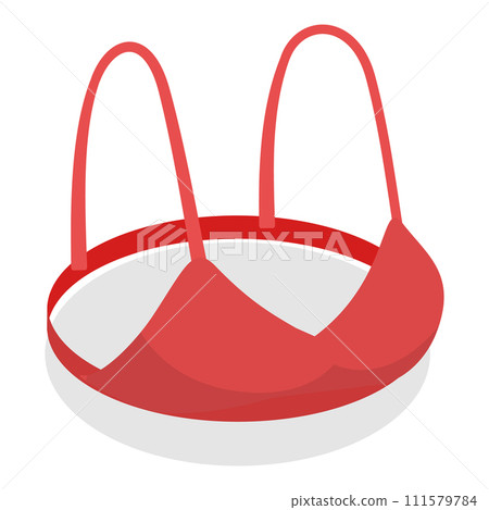 3D Isometric Flat Vector Set of Bras. Item 2 111579784