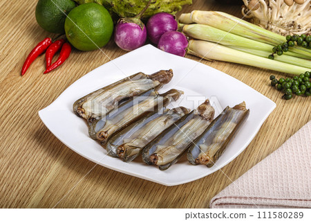 Raw fresh Razor clam mollusk Raw fresh Razor clam mollusk 111580289