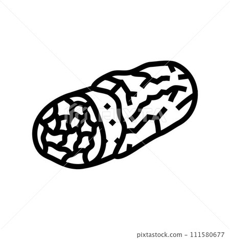 burrito fast food line icon vector illustration 111580677