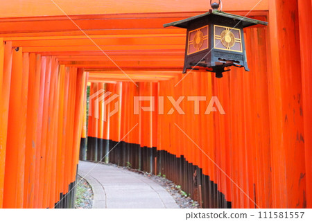 伏見稻荷大社的鳥居 伏見稻荷大社的鳥居 111581557