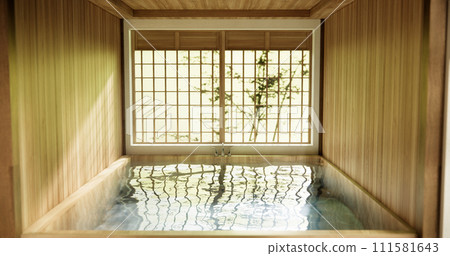 Wooden Japan bathroom modern Onsen minimal style 111581643