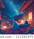 A girl lying on the roof and looking at the night sky 111581979