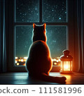 Rear view of a cat looking at the night sky from the window 111581996