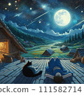 A girl sleeping with a cat under a starry night 111582714