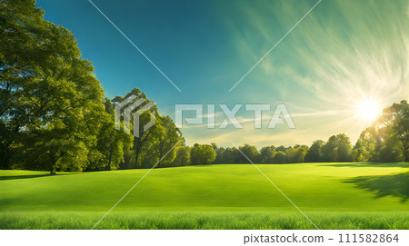 Wide lawn trimmed with precision under a blue sunny sky Wide lawn trimmed with precision under a blue sunny sky 111582864