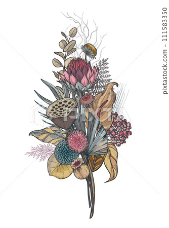 Vector composition of dried flowers, leaves and branches. Hydrangea, palm leaves, eucalyptus and other plants in beautiful bouquet. Vector composition of dried flowers, leaves and branches. Hydrangea, palm leaves, eucalyptus and other plants in beautiful bouquet. 111583350