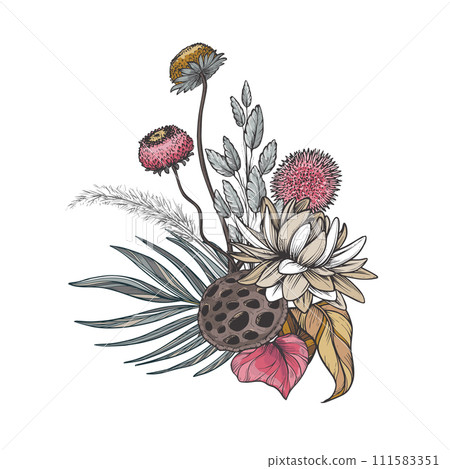 Vector composition of dried flowers, leaves and branches. Hydrangea, palm leaves, eucalyptus and other plants in beautiful bouquet. Vector composition of dried flowers, leaves and branches. Hydrangea, palm leaves, eucalyptus and other plants in beautiful bouquet. 111583351