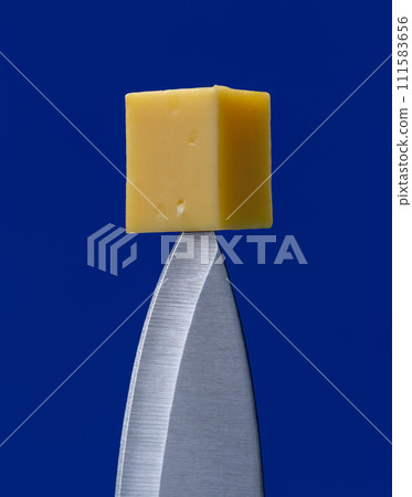 Cheese on tip of knife, close up, minimalist on a blue background 111583656