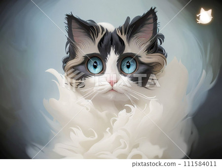 Beautiful young white purebred Ragdoll cat 111584011