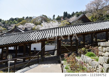 奈良縣櫻井市春長谷寺爬坡走廊初瀨 奈良縣櫻井市春長谷寺爬坡走廊初瀨 111584752