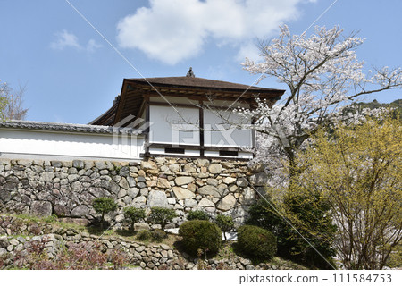 奈良縣櫻井市春天長谷寺月裡院初瀨 111584753