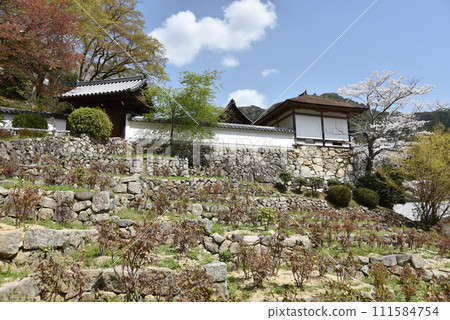 Spring Hasedera Temple Tsukirinin Hatsuse, Sakurai City, Nara Prefecture Spring Hasedera Temple Tsukirinin Hatsuse, Sakurai City, Nara Prefecture 111584754