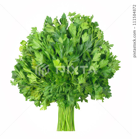 Bunch of green parsley isolated on white background. Fresh herbs, seasoning for cooking. 111584872