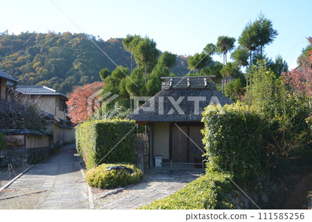 Autumn Sagano private house with thatched roof Ukyo Ward, Kyoto 111585256