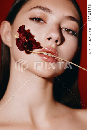 Pretty Red-haired Woman: Glamorous Portrait of Young, Fashionable Model with Attractive Makeup and Rose Lips on White Background 111585356