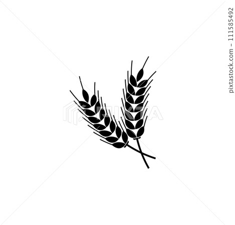 Spikelet Flat Vector Icon 111585492