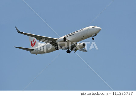 JALB737-800 JA341 takeoff and rise JALB737-800 JA341 takeoff and rise 111585757