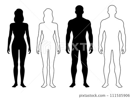 Man and woman outline figure, human body silhouette, patient front view contour. Isolated vector monochrome male and female person standing full height. Expressive lines form harmonious representation 111585906