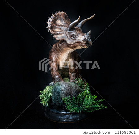 triceratops dinosaur in the dark 111586061