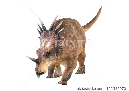 Styracosaurus dinosaur on isolated background Styracosaurus dinosaur on isolated background 111586070