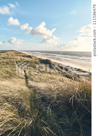 Scenic view over dunes at danish coast Scenic view over dunes at danish coast 111586479