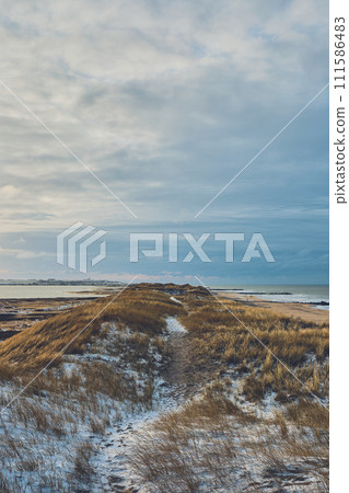 Coast and dunes at Vejlby klit in denmark in winter with snow Coast and dunes at Vejlby klit in denmark in winter with snow 111586483