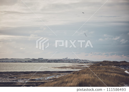 Coast at Vejlby klit in denmark in winter with snow Coast at Vejlby klit in denmark in winter with snow 111586493