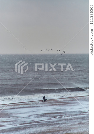 Man walking with dog at stormy sea in winter 111586503