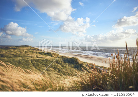 Overlooking dunes at danish coastline Overlooking dunes at danish coastline 111586504