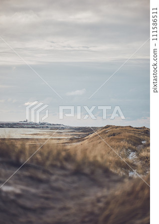 Winter at the dunes in Denmark 111586511