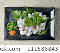 Octopus sashimi 111586843